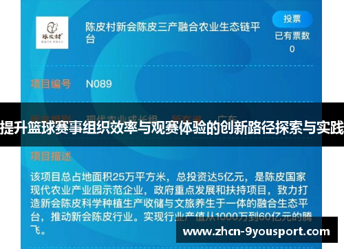 提升篮球赛事组织效率与观赛体验的创新路径探索与实践