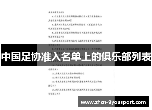 中国足协准入名单上的俱乐部列表
