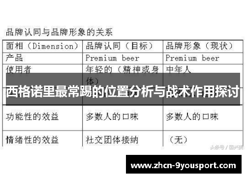 西格诺里最常踢的位置分析与战术作用探讨
