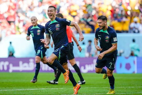 澳大利亚队不敌对手出局